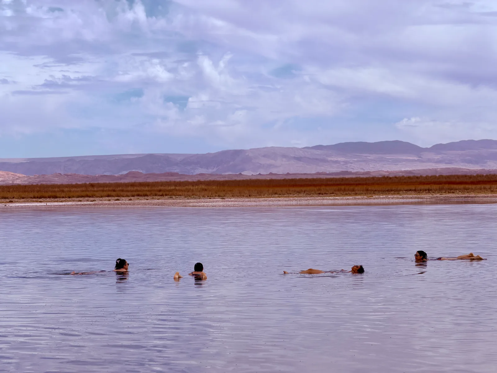 Laguna Cejar