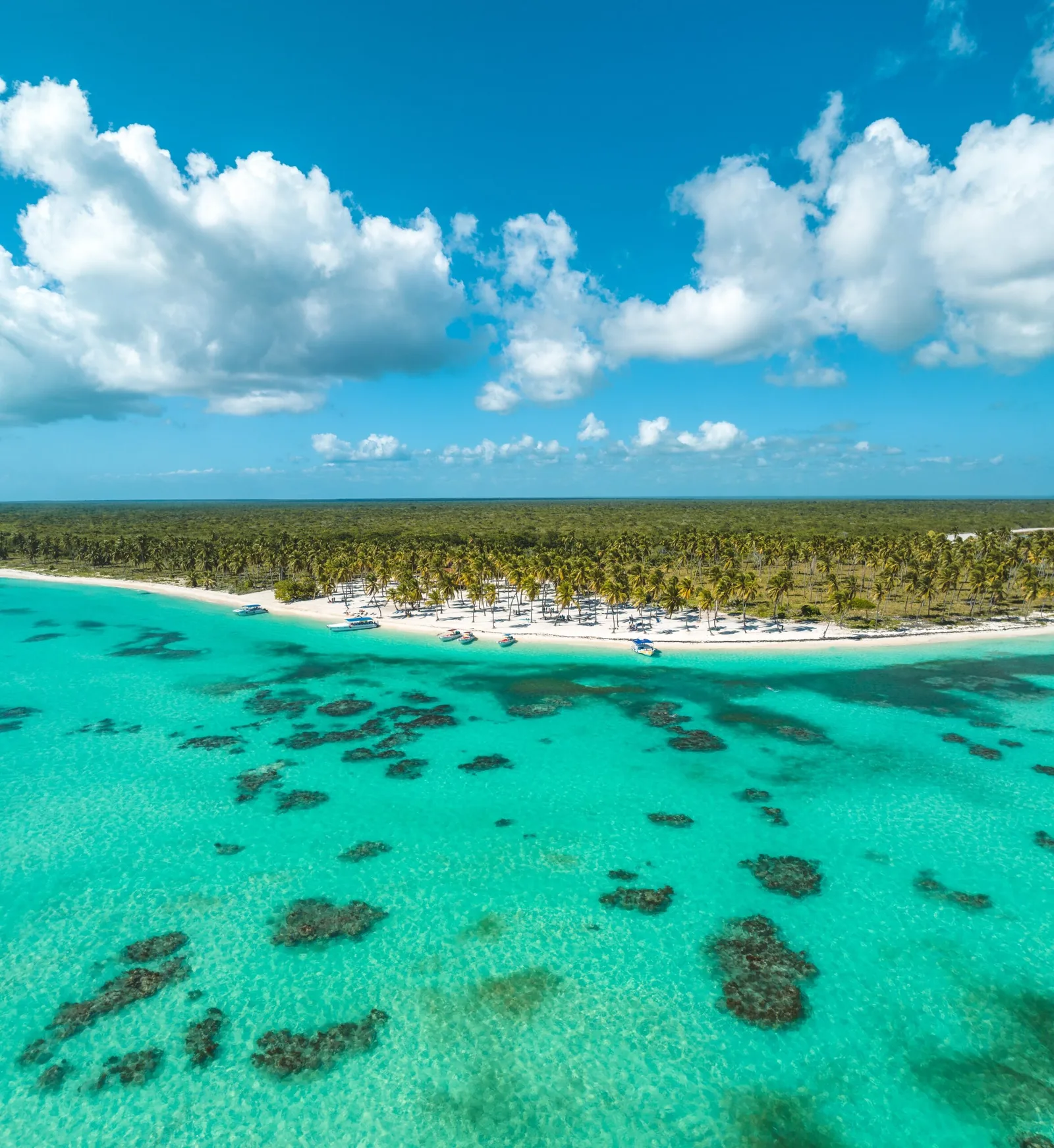 Isla Saona VIP